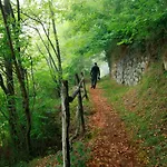 Le Belvedere