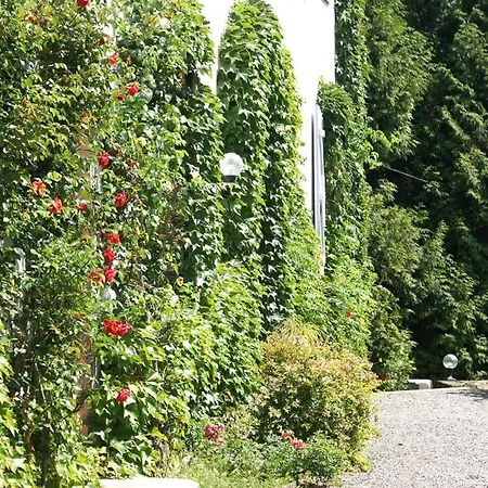 Le Belvedere